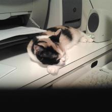 There's a time for working, a time for stretching and a time for napping.