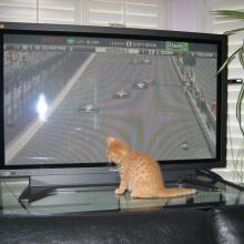 Wait!  Where did that car go?  It disappearred at the bottom of the screen.  Surely I can find it under the TV,