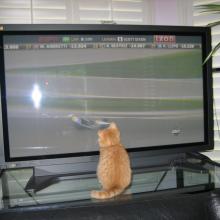 I hate to admit it but maybe I'll just have to sit here and watch those tires go round and round.  But, I am faster than those tires....I am patient.  I will wait.