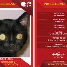 I'm gonna make a ton of touchdowns.