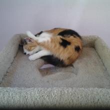 Did I fall asleep while I was grooming?  