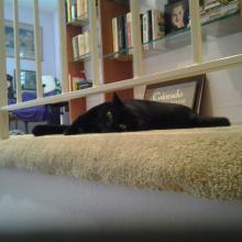 I look healthy but I have diarrhea...all of the time.  it is so depressing.