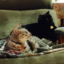 Did you hear it?  There's something' up there.