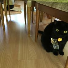 I must be in big troub' now...