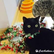 I wanna' decorate too.