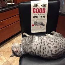 So how good DO I have to be?