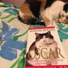 Read this book!!  "MAKING ROUNDS WITH OSCAR"