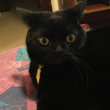 What?  U r going to school?  To learn how to save our lives?