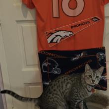 R U tail-gaten' 4 the Super Bowl?