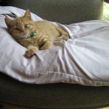 Now this is what I call soft.