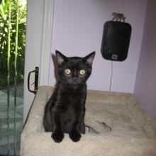 I am feeling so much better!  What's next?