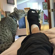 Sniff, sniff.  What happened to Meowmuh's paw?