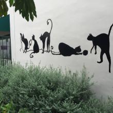 Meowmuh & Auntie Sharon visit the new Neely Cat Center in Pasadena, CA.