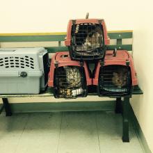 OK, we're here.  Let's get this over with!