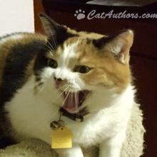 I want this stroller fixed now!!!