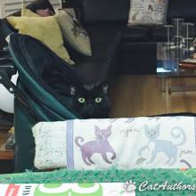 I'm 'sitting'-in' this stroller until it gets fixed!