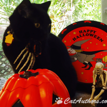 What's on my tail?  Help!!