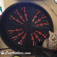 Gettin' ready to do my cardio on my exercise wheel.