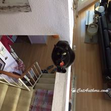 I can see it all from here.