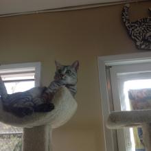 I am tail-thumpin' mad!!!