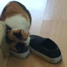 C me rub (mark) against my friend, Yalila's, shoes