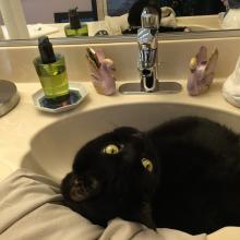 I already told you, I like sinks.