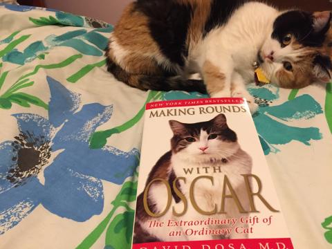 Read this book!!  "MAKING ROUNDS WITH OSCAR"