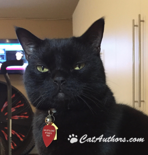 WHAT'S YIN AND YANG Ok, so tell me, what's the diff between Yin and Yang?