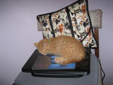 The mousepad on top of the notebook cat-puter is sooo soft!