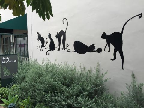 Meowmuh & Auntie Sharon visit the new Neely Cat Center in Pasadena, CA.