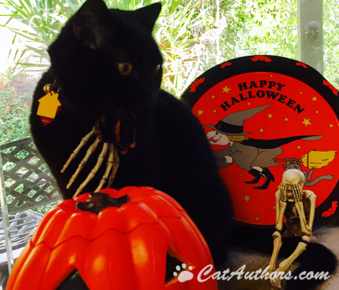 WHA IZ 'ZAT ON MY TAIL? What's on my tail? Help!!