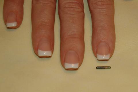 A MICROCHIP This is a microchip.