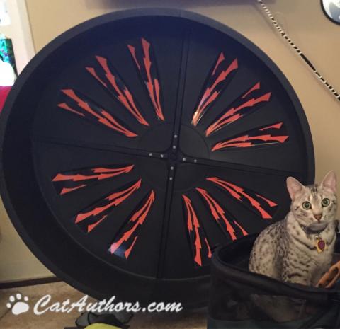 Gettin' ready to do my cardio on my exercise wheel.