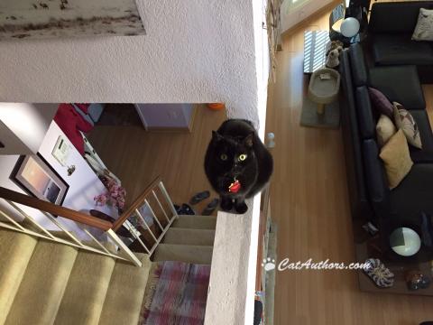 ABOVE IT ALL I can see it all from here.