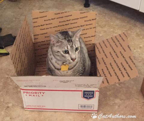 I WANT AN ADVENTURE! Send me somewhere, anywhere. I want an adventure!!