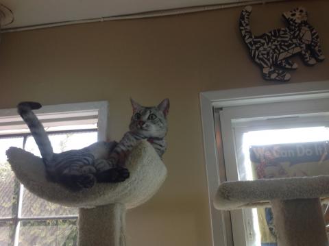 I AM TAIL-THUMPIN' MAD!!! I am tail-thumpin' mad!!!