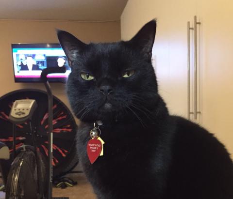 No, no.  No need to apologize.  I don't even care anymore...