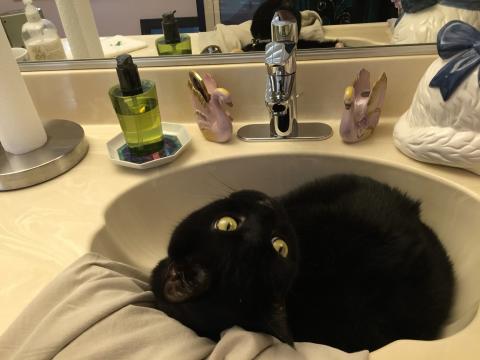 I already told you, I like sinks.