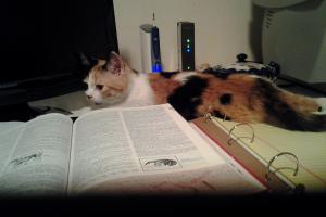 My first day writing in my new home.  i don't know about you, but I always need my dictionary.