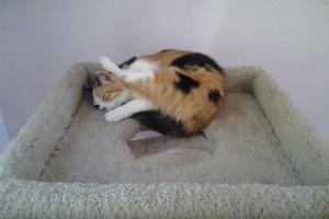 I THINK I FELL ASLEEP WHILE I WAS GROOMING Did I fall asleep while I was grooming?