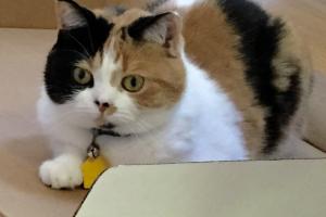 ME & MY BOXES I love boxes.