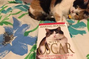 Read this book!!  "MAKING ROUNDS WITH OSCAR"