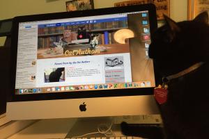 I'M HELPING MEOWMUH 'SEE' HER COMPUTER AFTER HER CATARACT SURGERY I can see fine but Meowmuh can't yet since her cataract surgery.