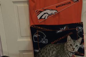 R U tail-gaten' 4 the Super Bowl?