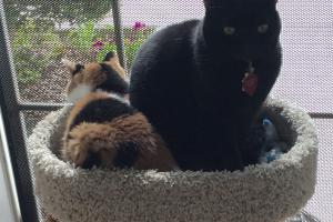 Inkee-Bear has a reason 2 watch inside