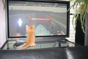 I can do it.  I can catch that car!  Just watch me.