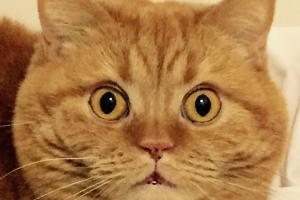 MOMS What? My mom is your mom?