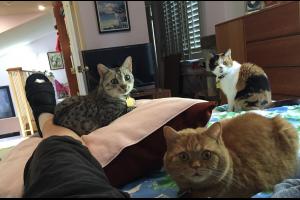 What?  U R 2 hurt 2 feed us?