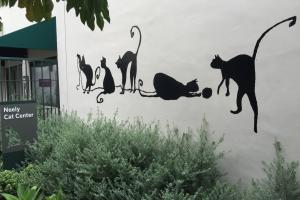 MEOWMUH & AUNTIE SHARON VISIT THE NEELY CAT CENTER IN PASADENA, CA Meowmuh & Auntie Sharon visit the new Neely Cat Center in Pasadena, CA.