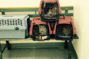 OK, we're here.  Let's get this over with!